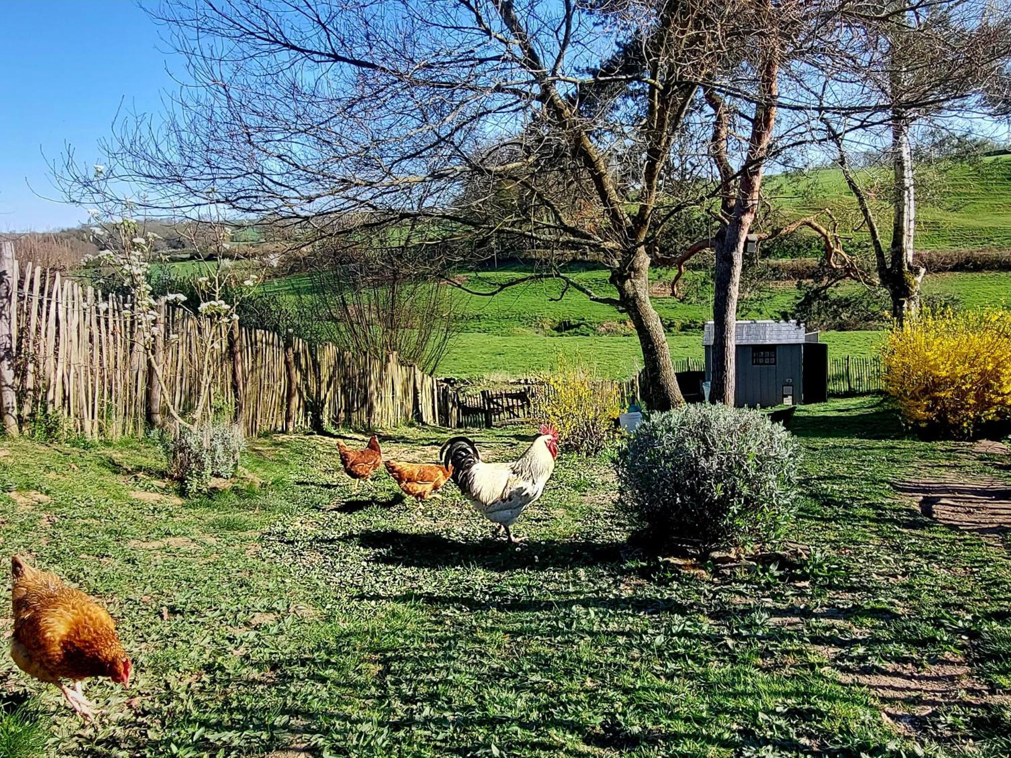 Maison Du Grand Moulin Saint-Aubin-en-Charollais المظهر الخارجي الصورة