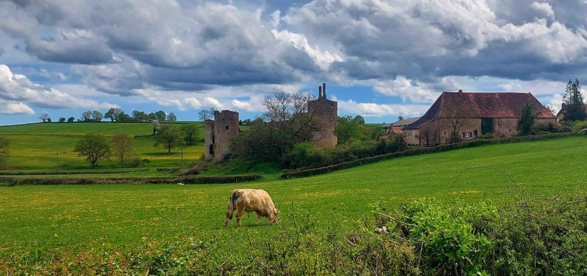 Maison Du Grand Moulin Saint-Aubin-en-Charollais المظهر الخارجي الصورة