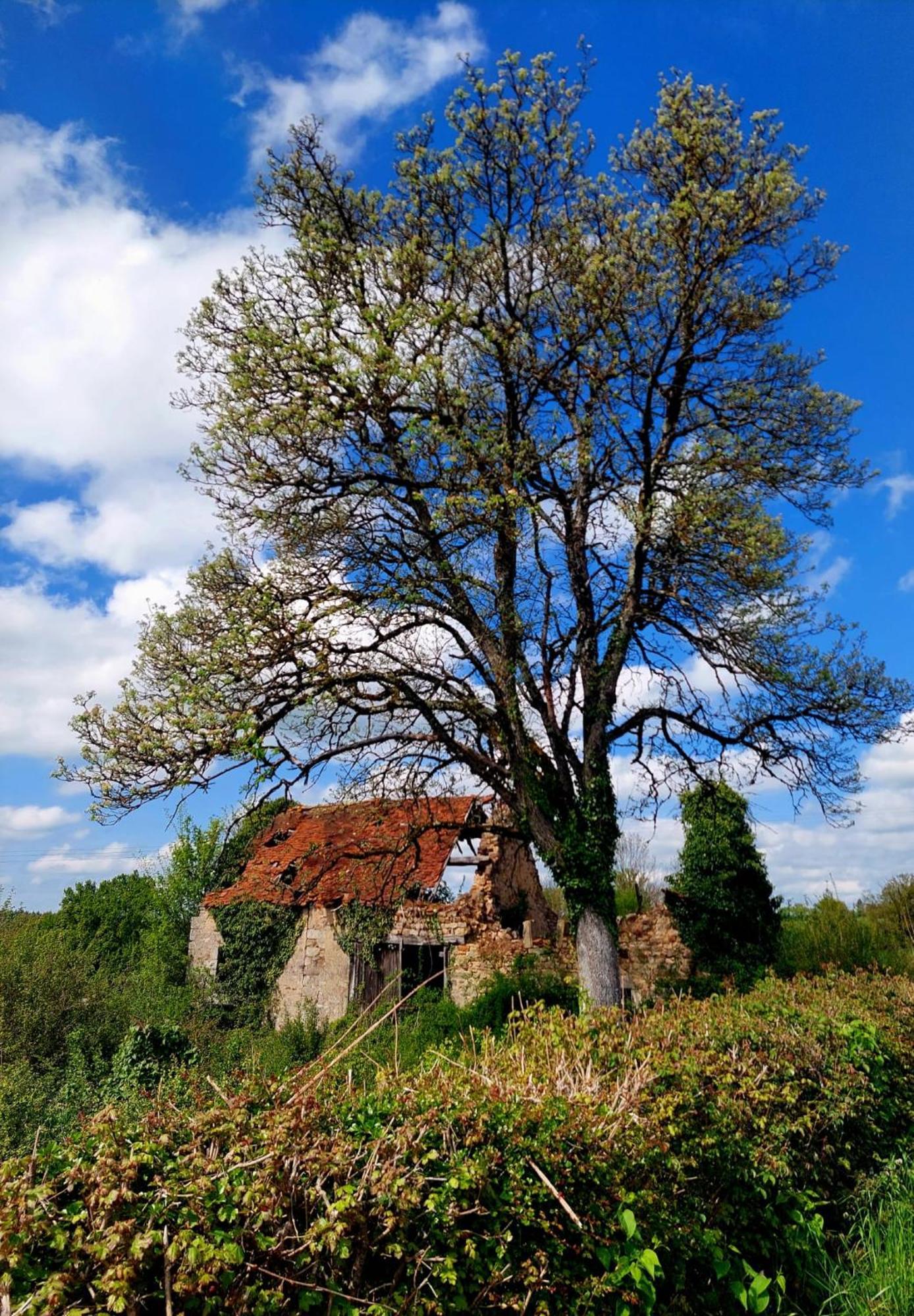 Maison Du Grand Moulin Saint-Aubin-en-Charollais المظهر الخارجي الصورة